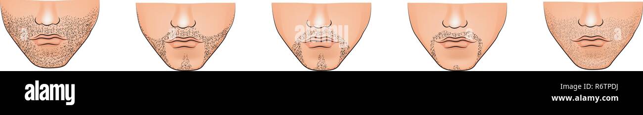 illustration of stubble on his chin. Male  Stock Vector