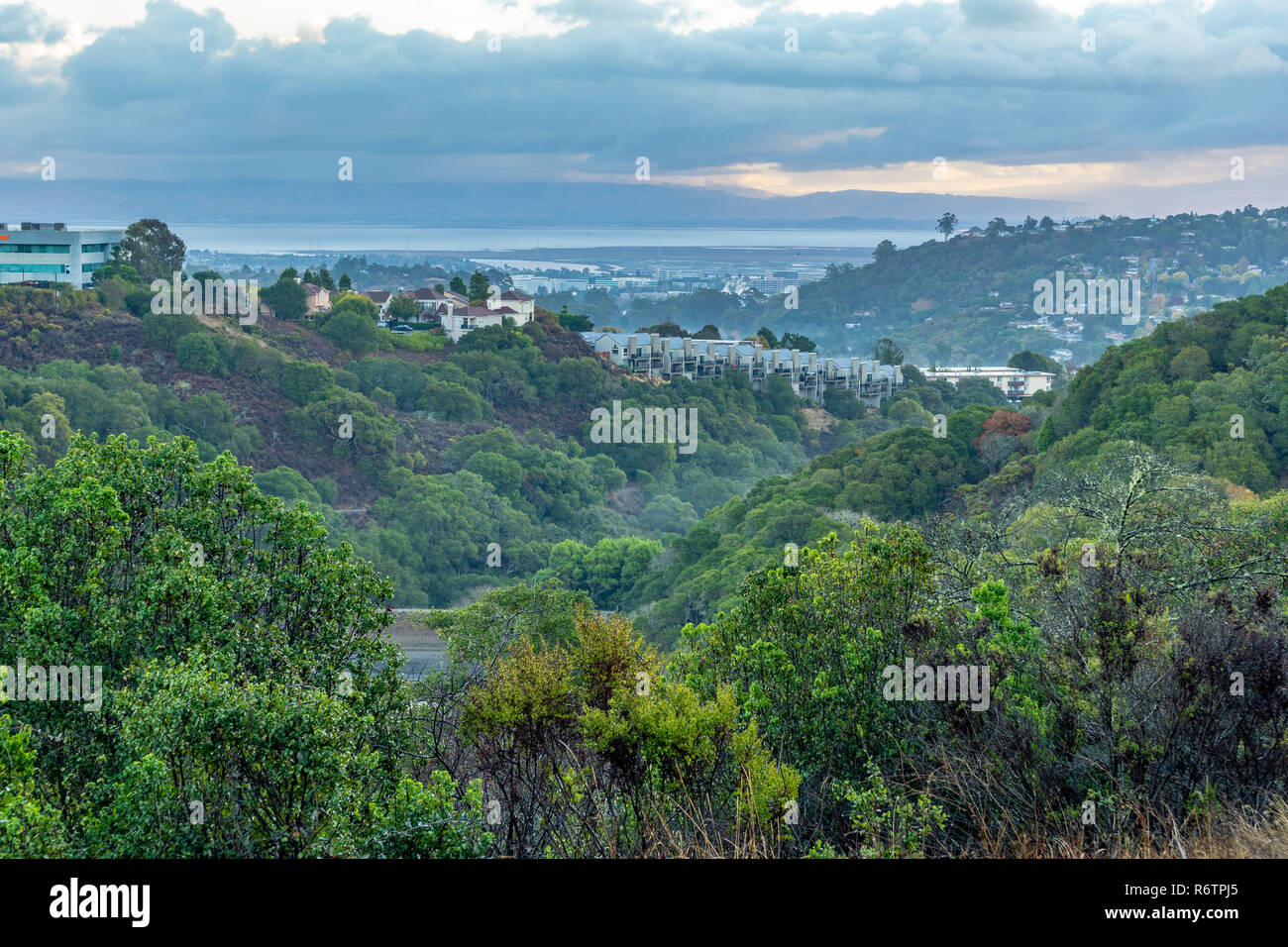 Houses on a Forested Hill in a Suburb, Belmont, California Stock Photo