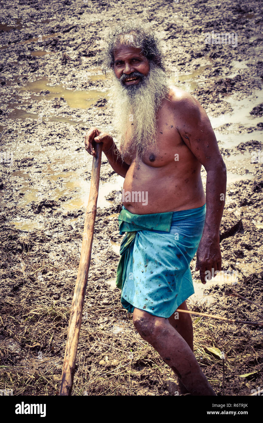 Reisbauer bei der Arbeit.Das Bild wurde bei Bentota auf Sri Lanka aufgenommen am 17.11.2018 Stock Photo