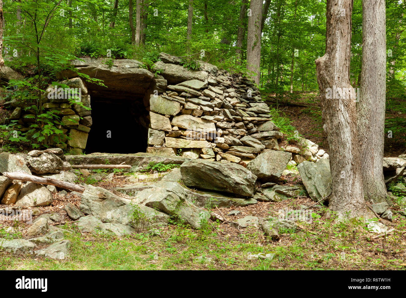 An opening in an old stone cellar acts as an entryway into the