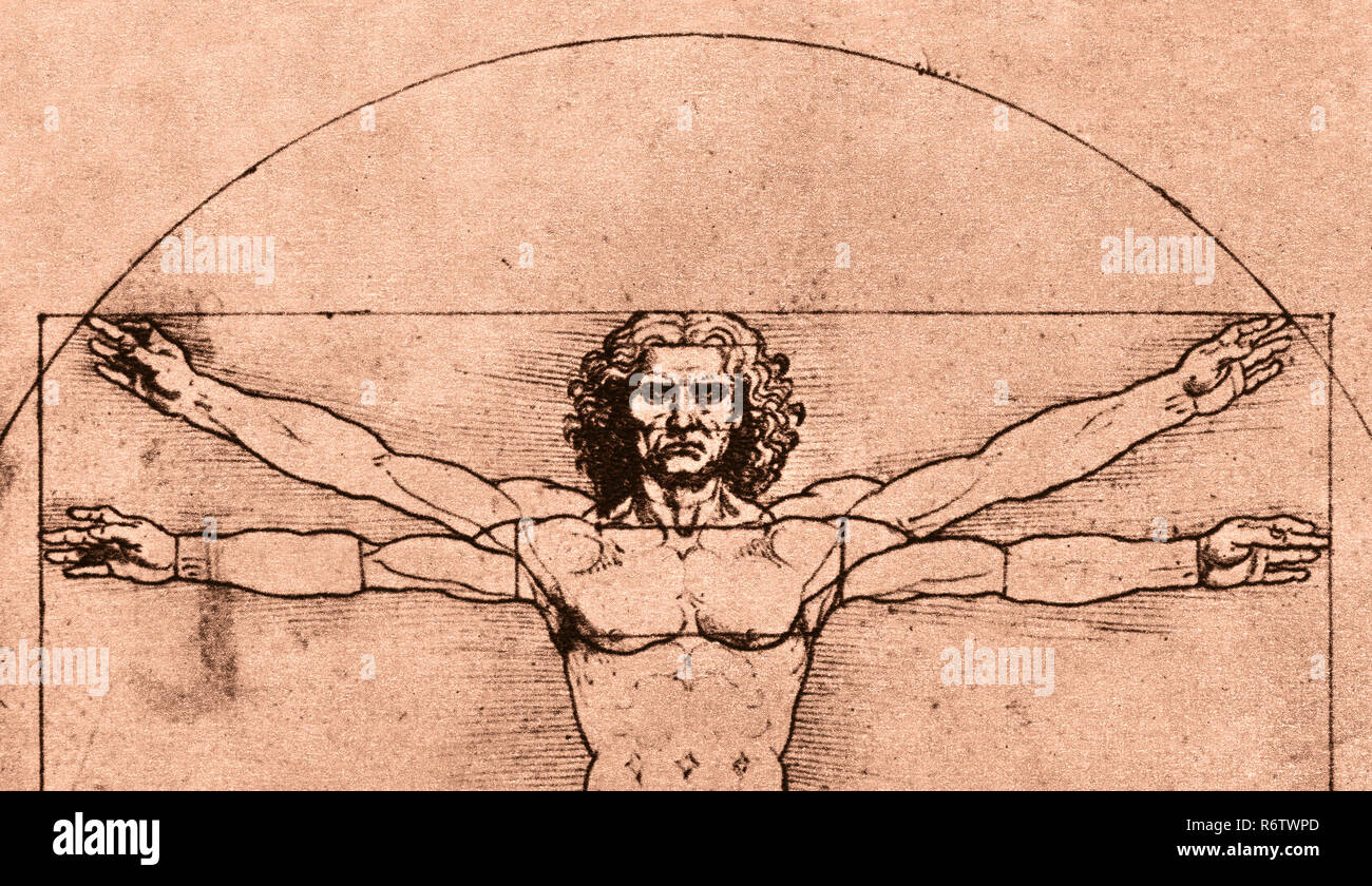 Leonardo Da Vinci’s Vitruvian man drawing Stock Photo