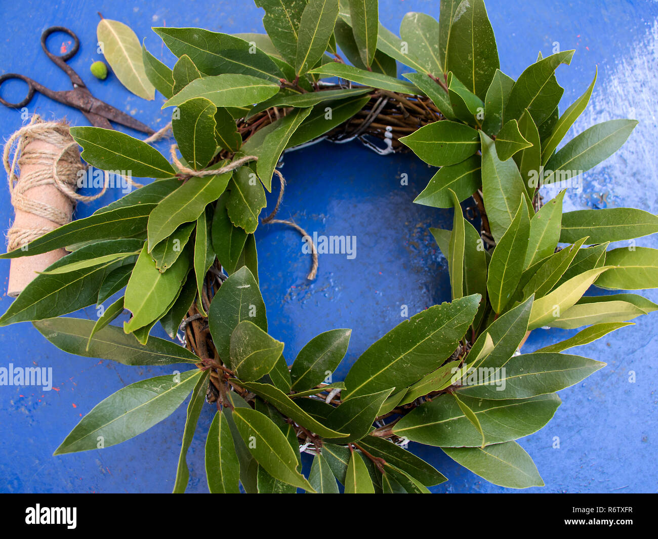 a laurel wreath of fresh bay leaves with rope and scissors against blue