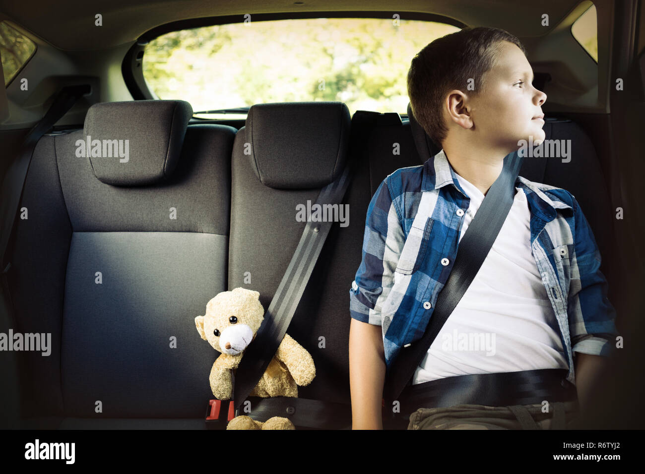 Teenage boy sitting with teddy bear in the back seat of car Stock Photo ...