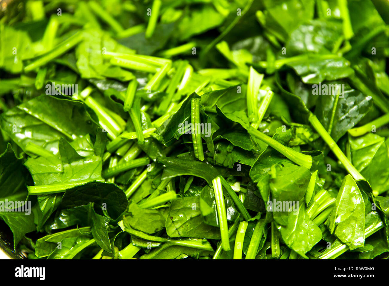 Spinach, The legend of the high iron content Stock Photo Alamy