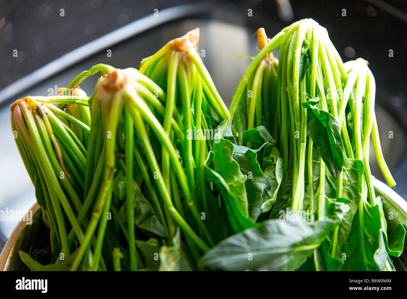 Spinach, The legend of the high iron content Stock Photo Alamy