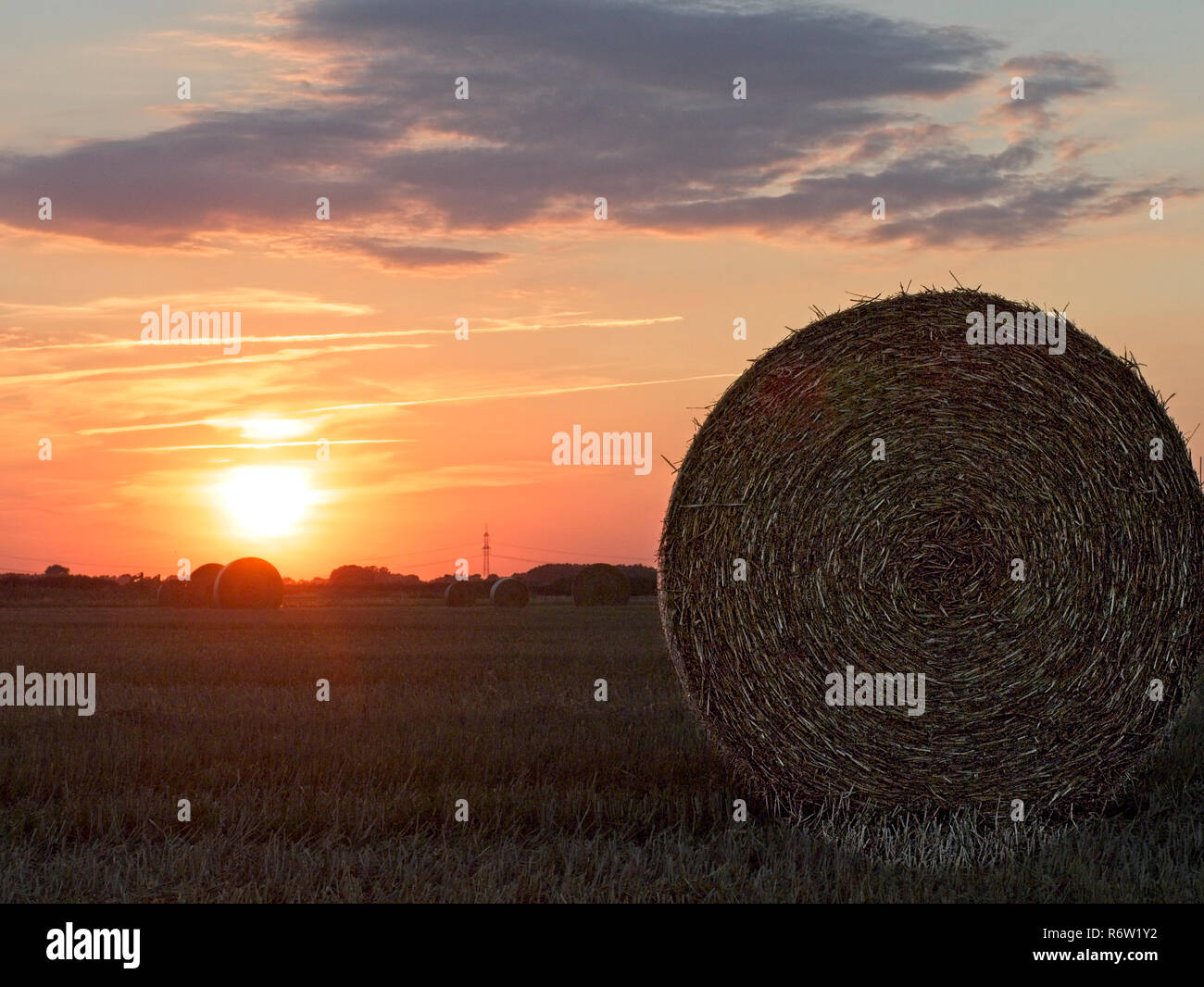 Collecting the straw hi-res stock photography and images - Alamy