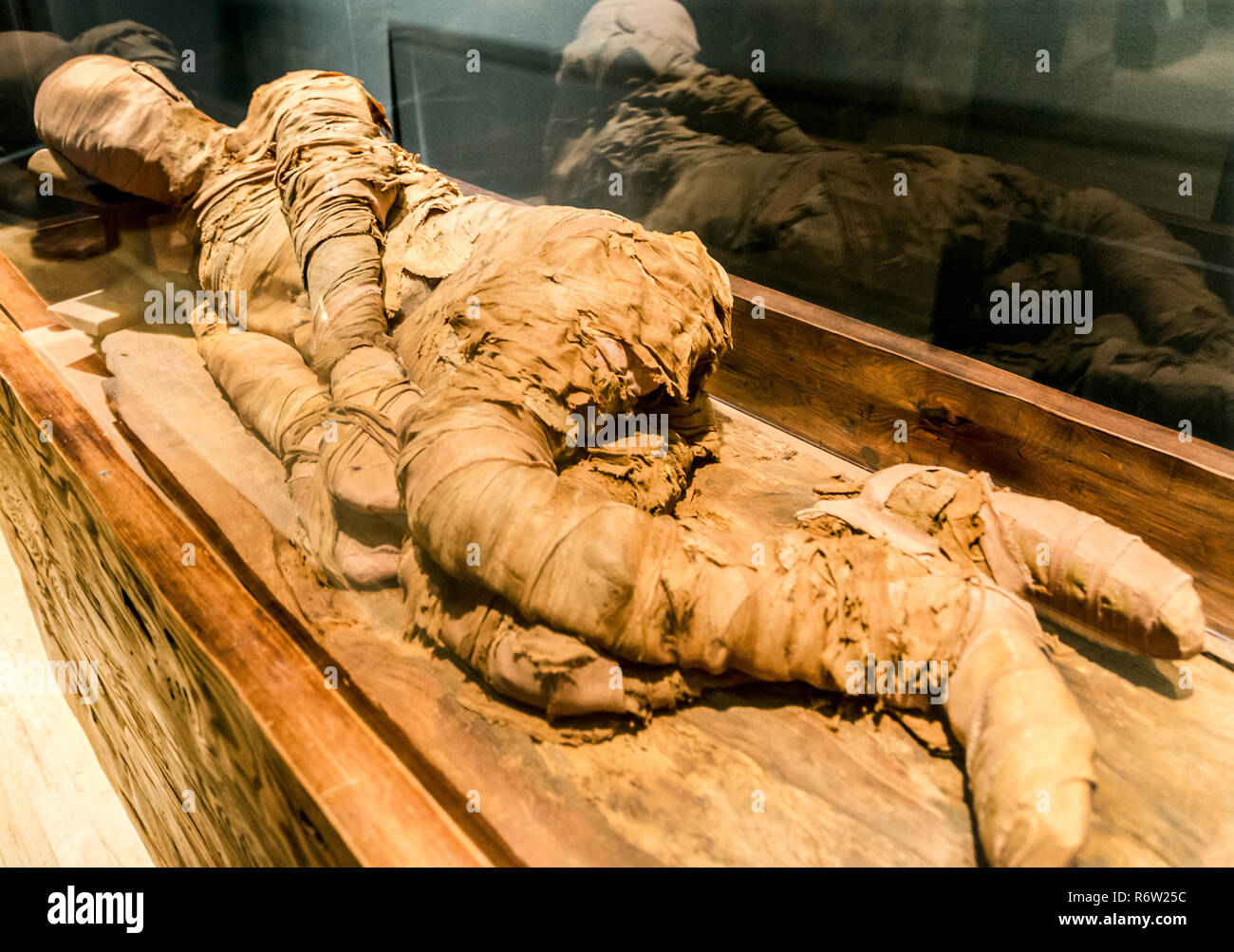 An Egyptian mummy circa 2300 B.C. reclines in a display case at the Michael C. Carlos Museum at Emory University, July 8, 2014, in Atlanta, Georgia. Stock Photo