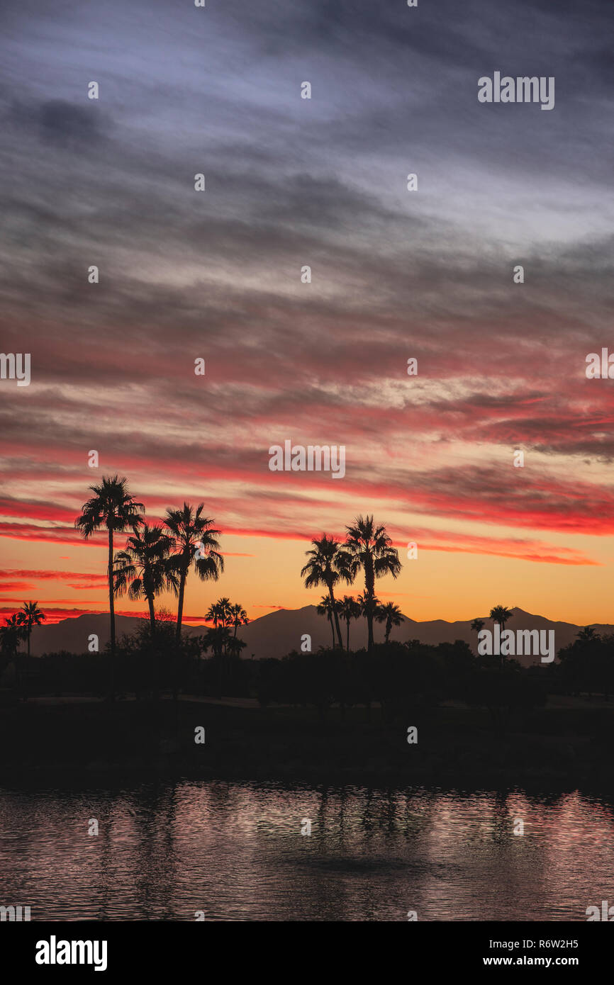 Palm trees reflecting in the water at sunset Stock Photo - Alamy