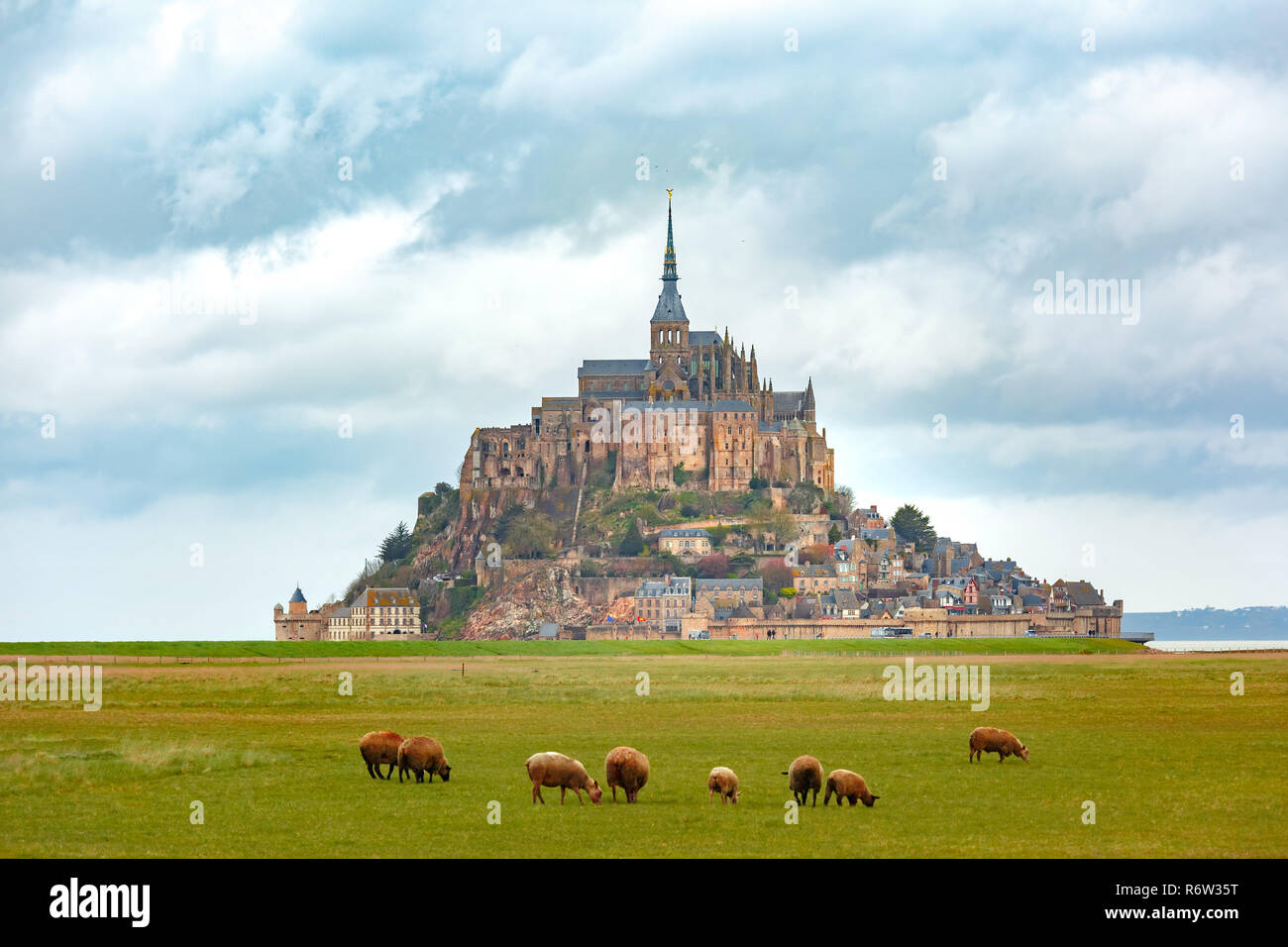 Mont Saint Michel and sheeps, Normandy, France Stock Photo