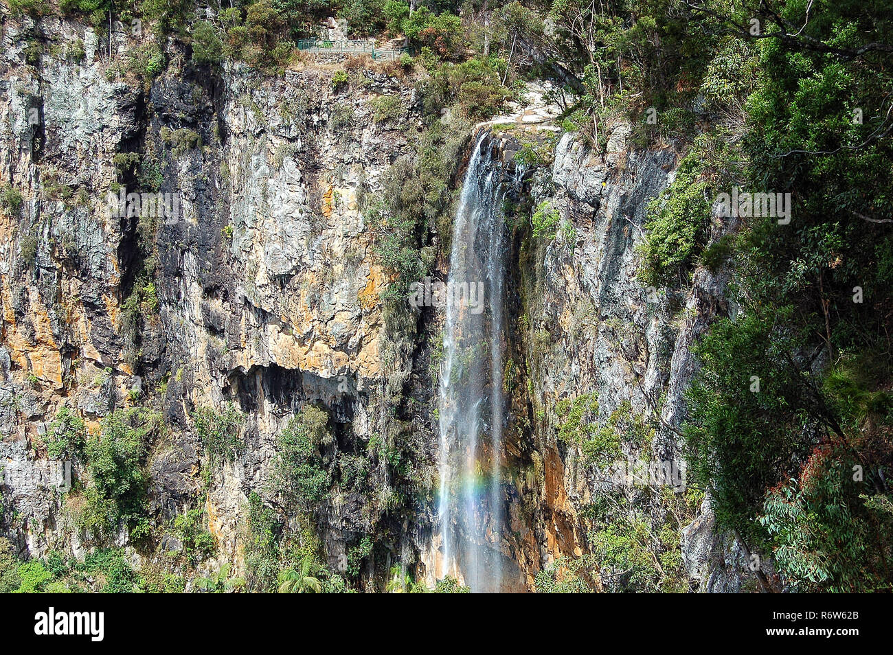 Purling Brook Falls - Springbrook Stock Photo