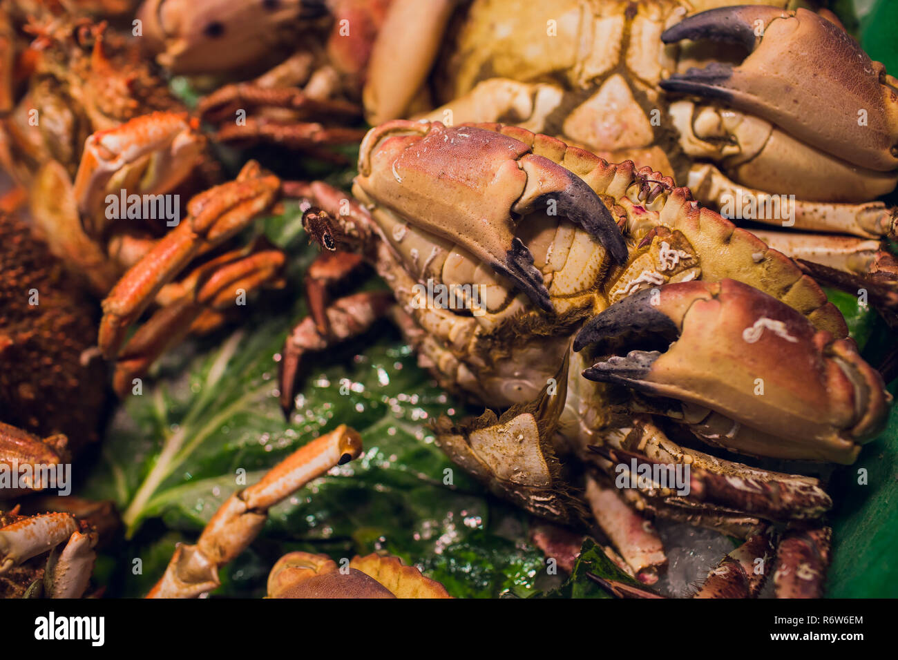 Fresh crabs on ice ready for sell in Supermarket Stock Photo Alamy