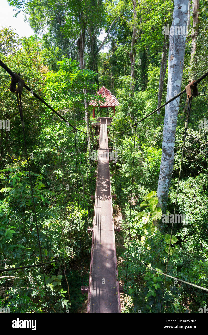 Canopy walkway at Thung Khai peninsular botanic garden, Trang province, Thailand Stock Photo
