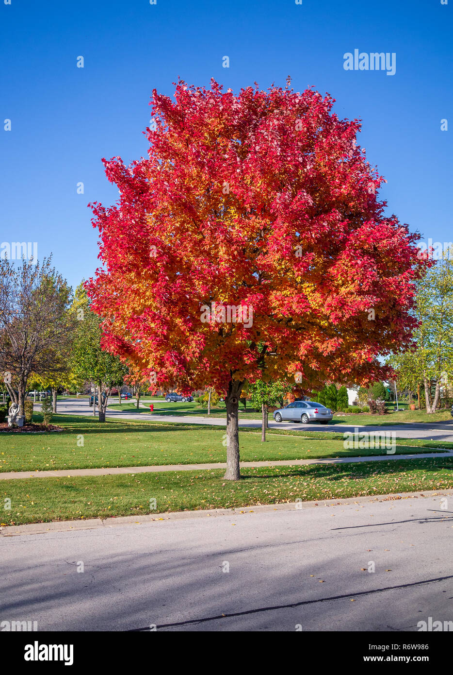 Autumn color in the midwest Stock Photo