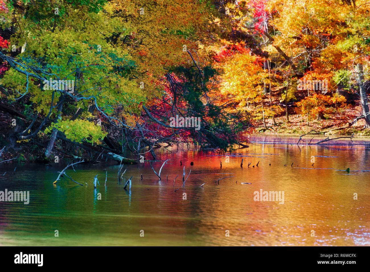 Colorful fall colors reflect along the shoreline of Bay Mountain Lake