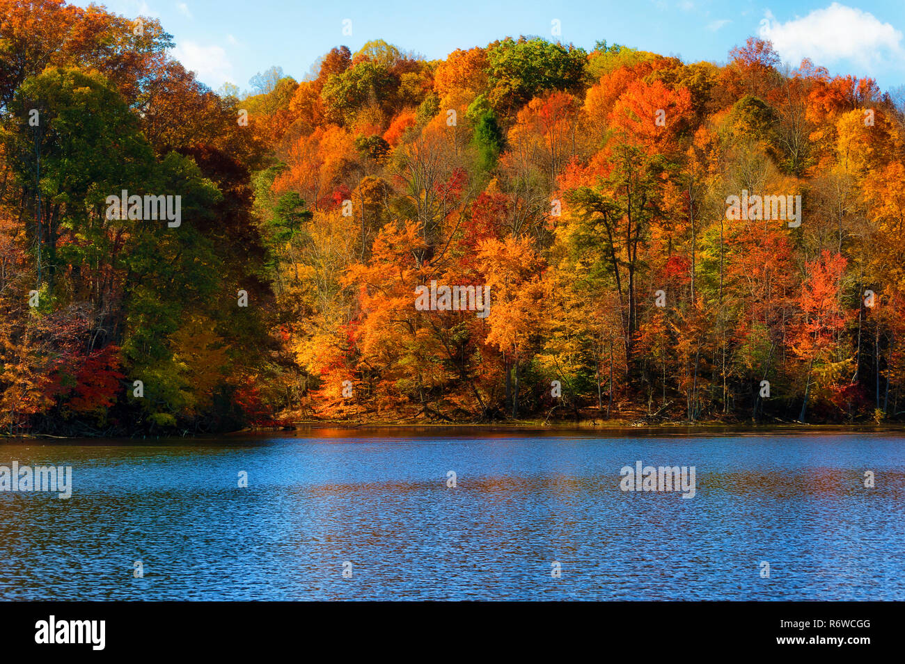Colorful fall colors reflect along the shoreline of Bay Mountain Lake
