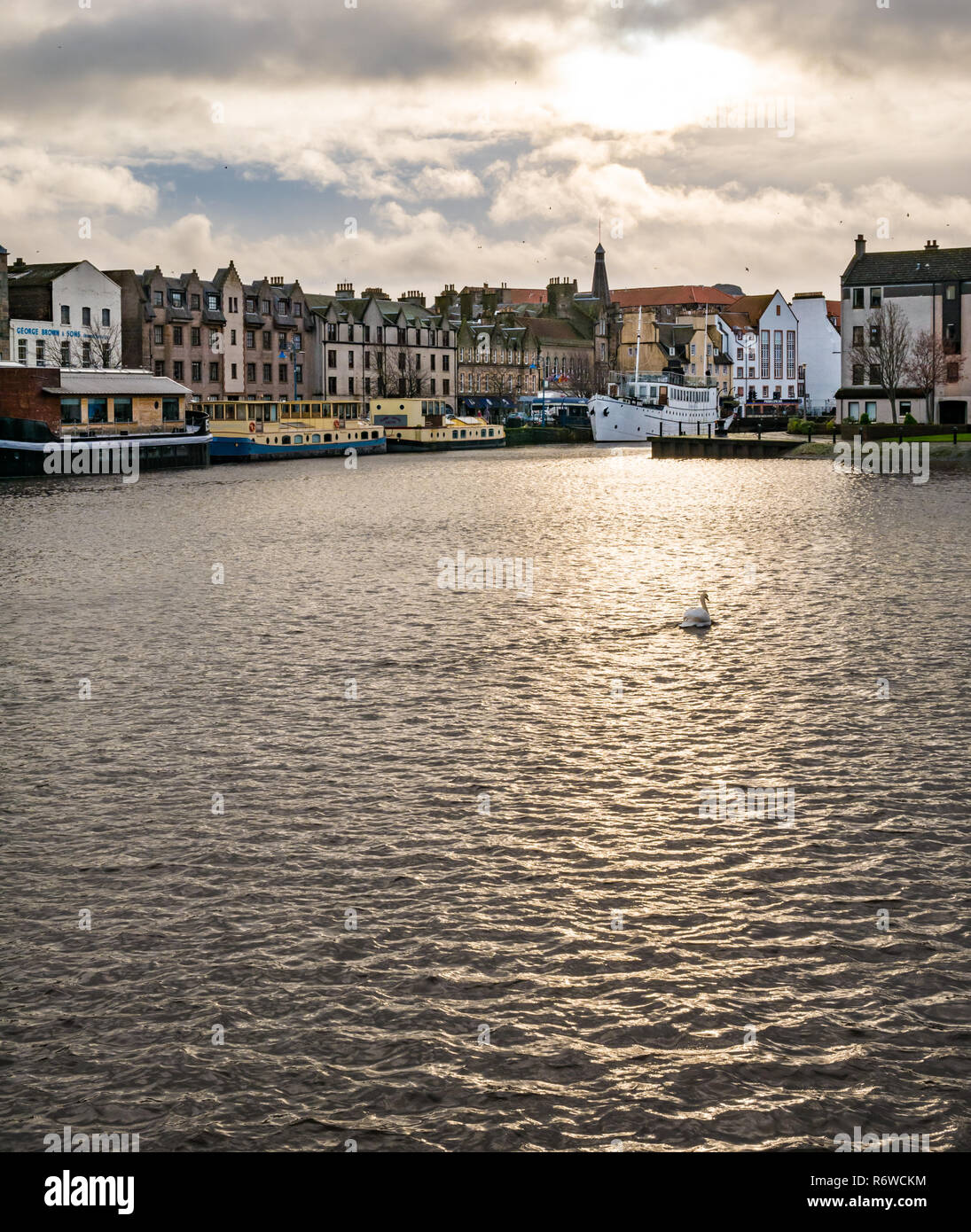 Houseboats, river barges and historic buildings with solitary swan in light on water, The Shore, Leith, Edinburgh, Scotland, UK Stock Photo