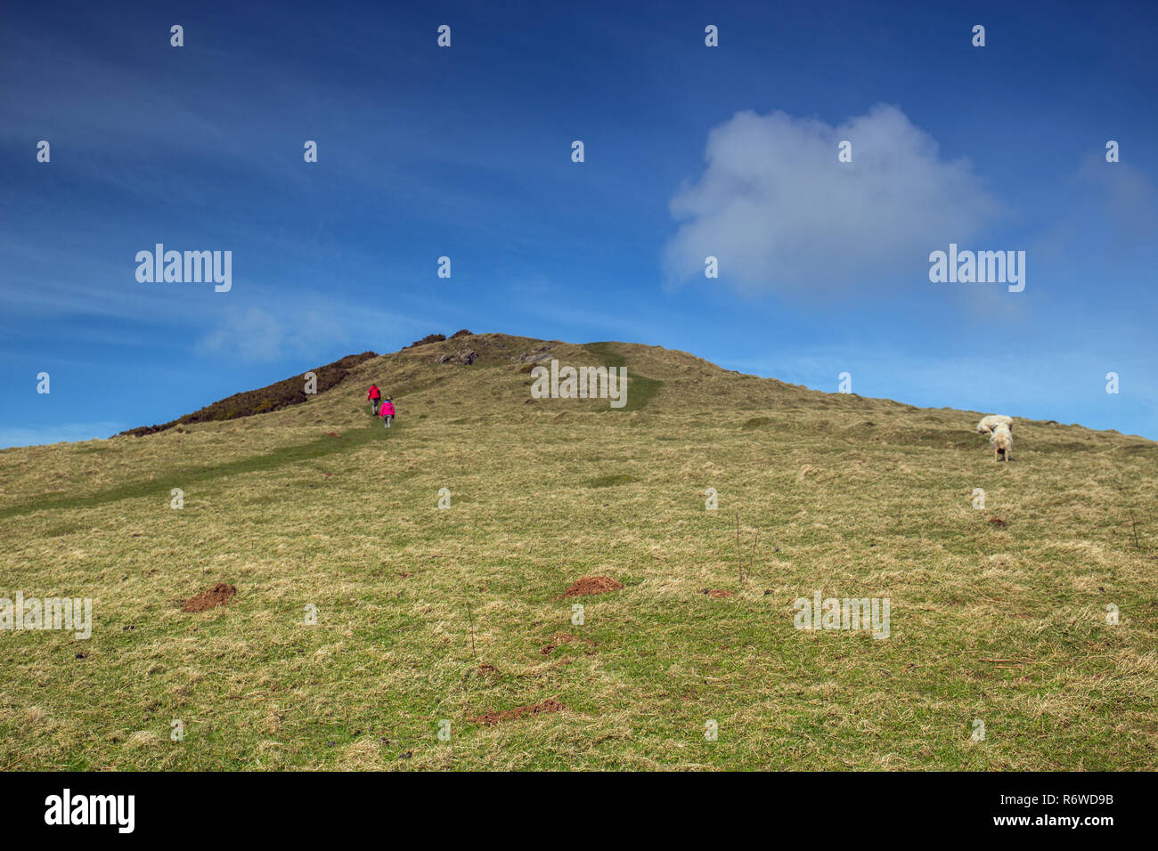 The beautiful and rugged Exmoor Hills on the North Devon coast of England. Stock Photo