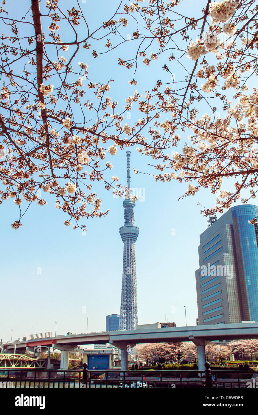 tokyo-skytree-tower-in-japan-