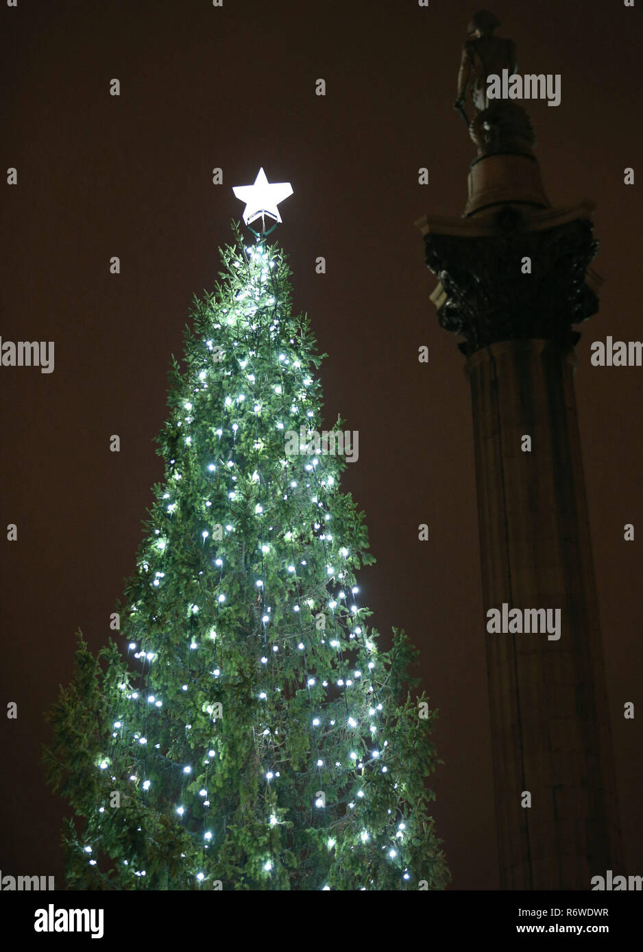 The Trafalgar Square Christmas tree is lit up, in central London Stock