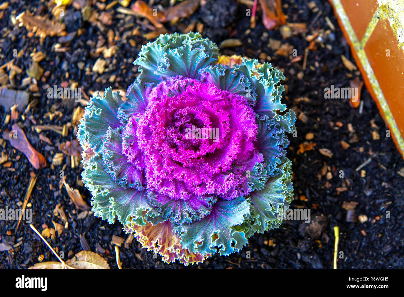 Weather colors hires stock photography and images Alamy