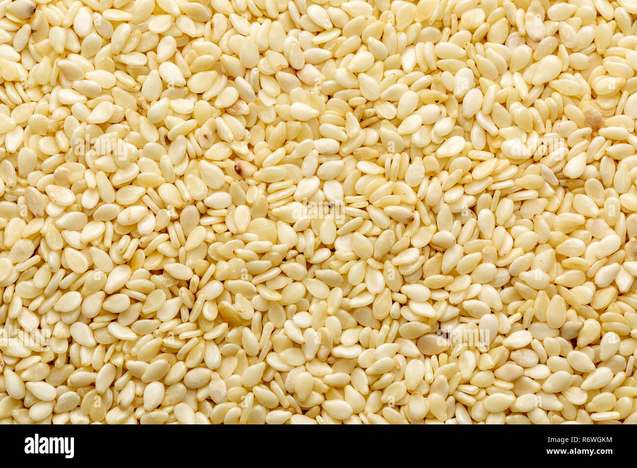 White sesame seeds closeup, full frame background top view Stock Photo