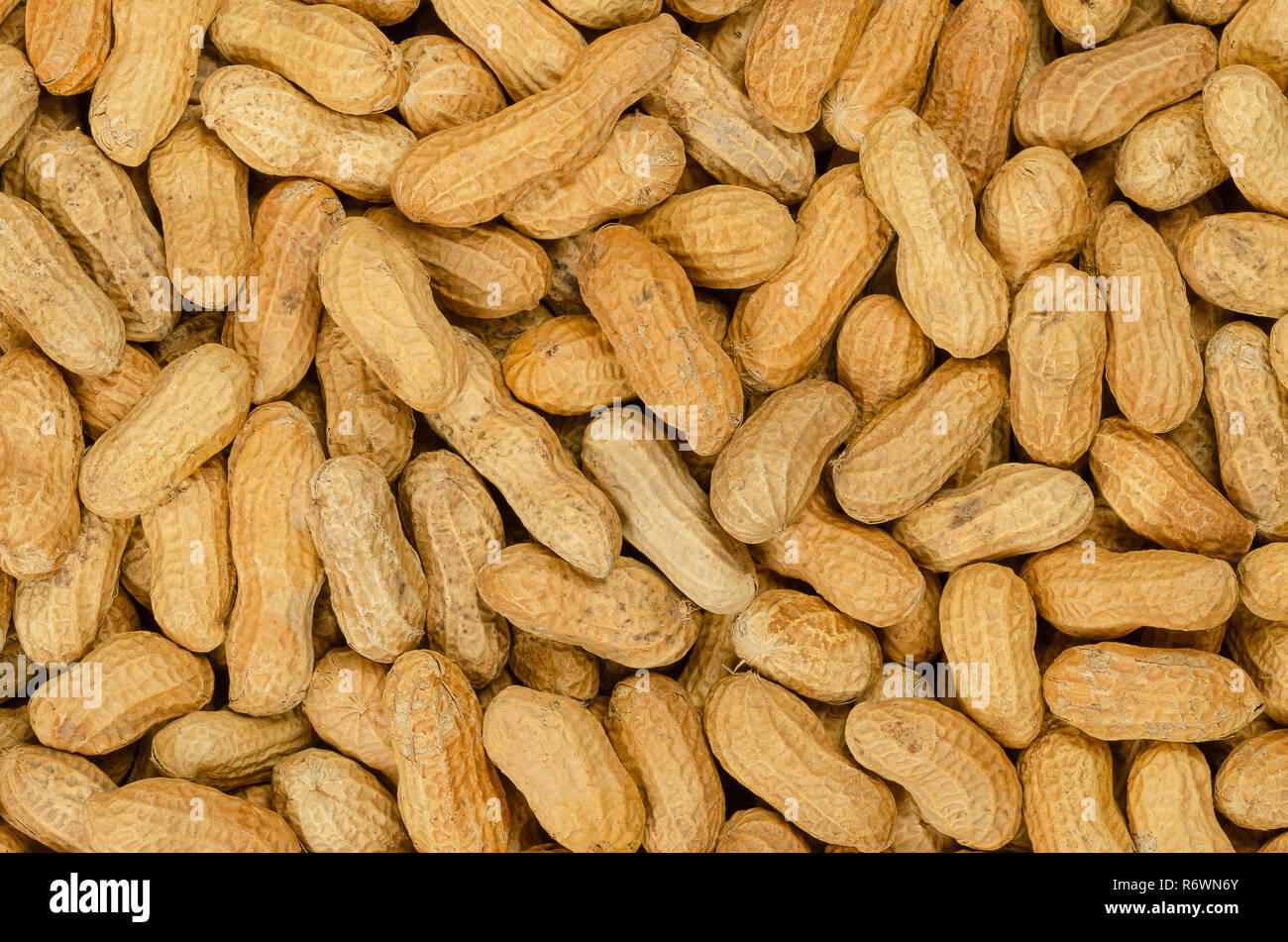 Peanuts with shell, background, close up. Also groundnut or goober. Pile of unshelled dry roasted whole pods of Arachis hypogaea, used as snack. Stock Photo
