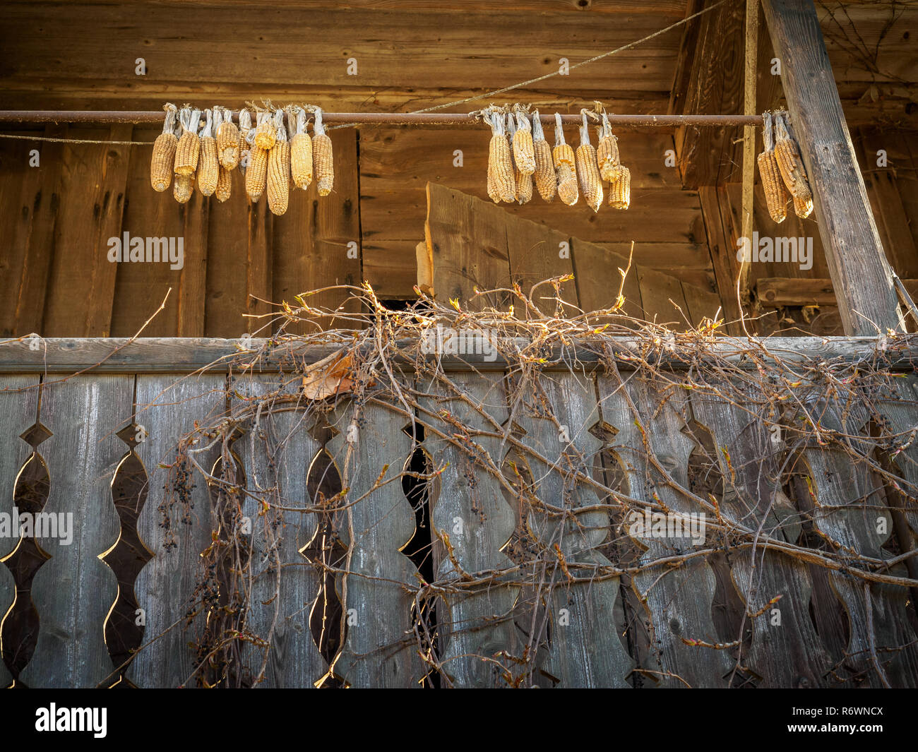 Old balcony with corn cob decoration at farm in Austria Stock Photo