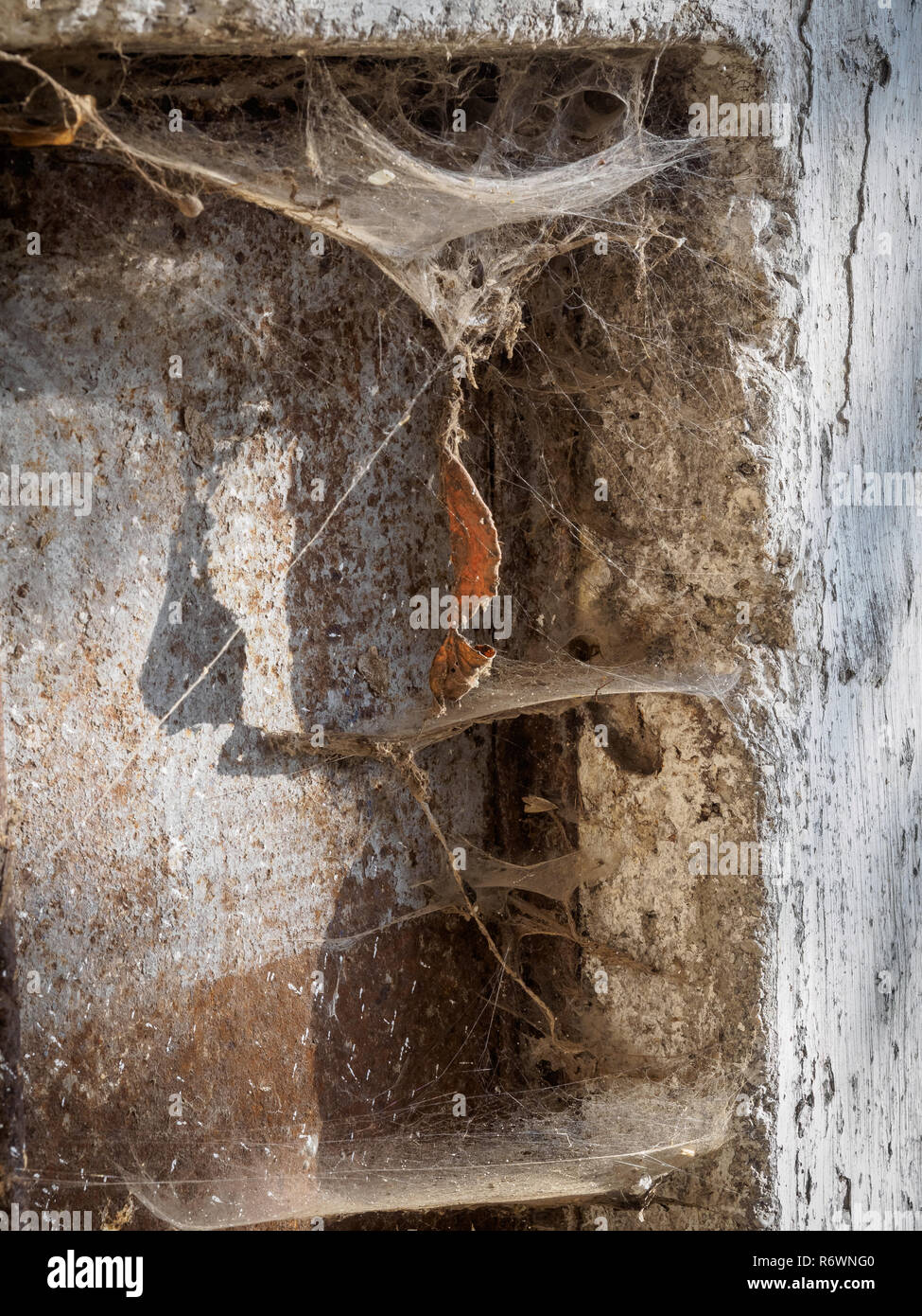 Cobwebs in a dirty wall corner with lots of dust Stock Photo