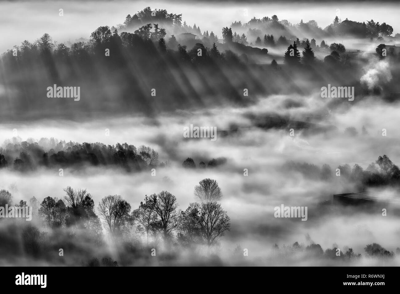 Black and white landscape. Wonderful place, back light foggy forest. Nature landscape, Italy Stock Photo