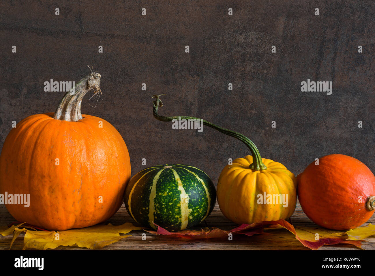 variety of fresh harvested pumpkins and autumn leaves on wooden table. thanksgiving background Stock Photo