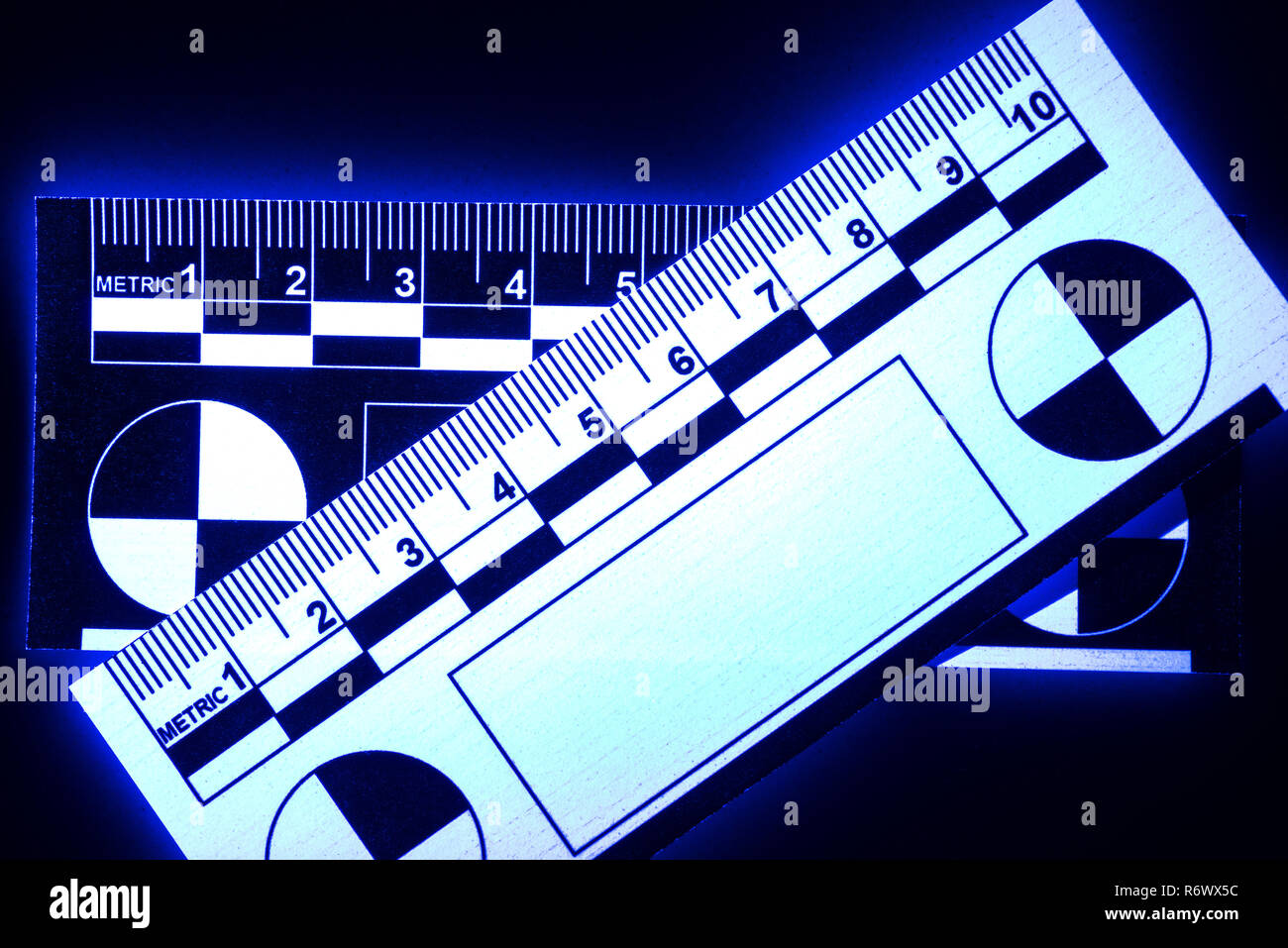 Photomacrographic forensic scale lit under UV light and glows, fluoresces  back visible light used for crime scene and fingerprint measurement Stock Photo