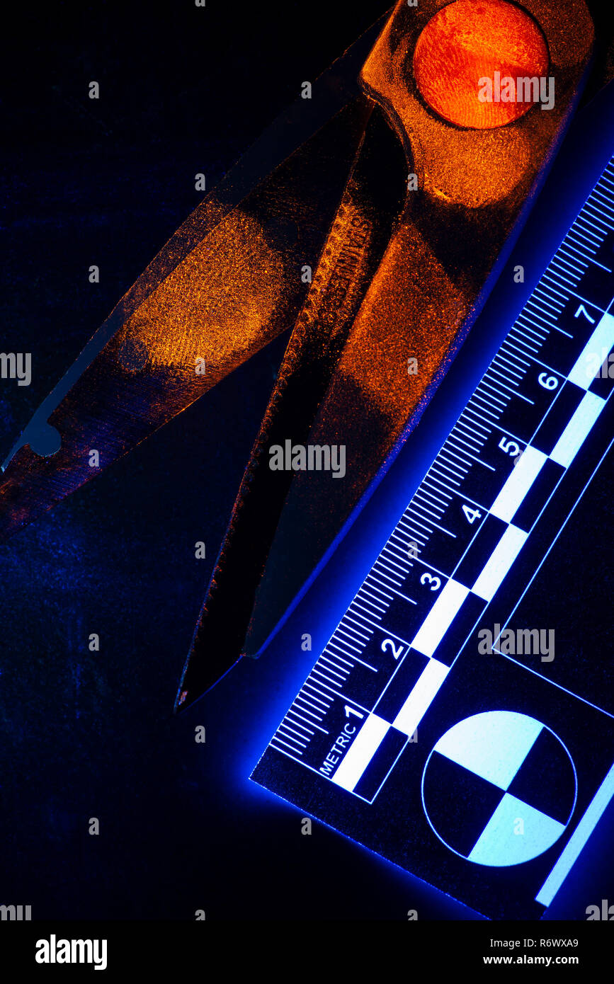 Difficult to seen under daylight, fingerprints on scissors glow orange