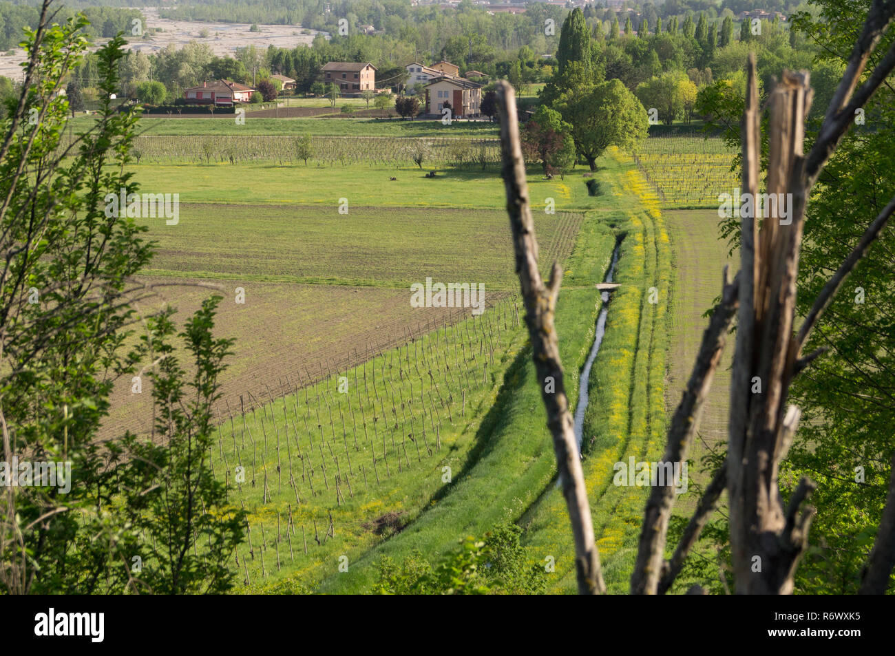 Panorama of the Parma torrent valley with views over fields and vineyards Stock Photo