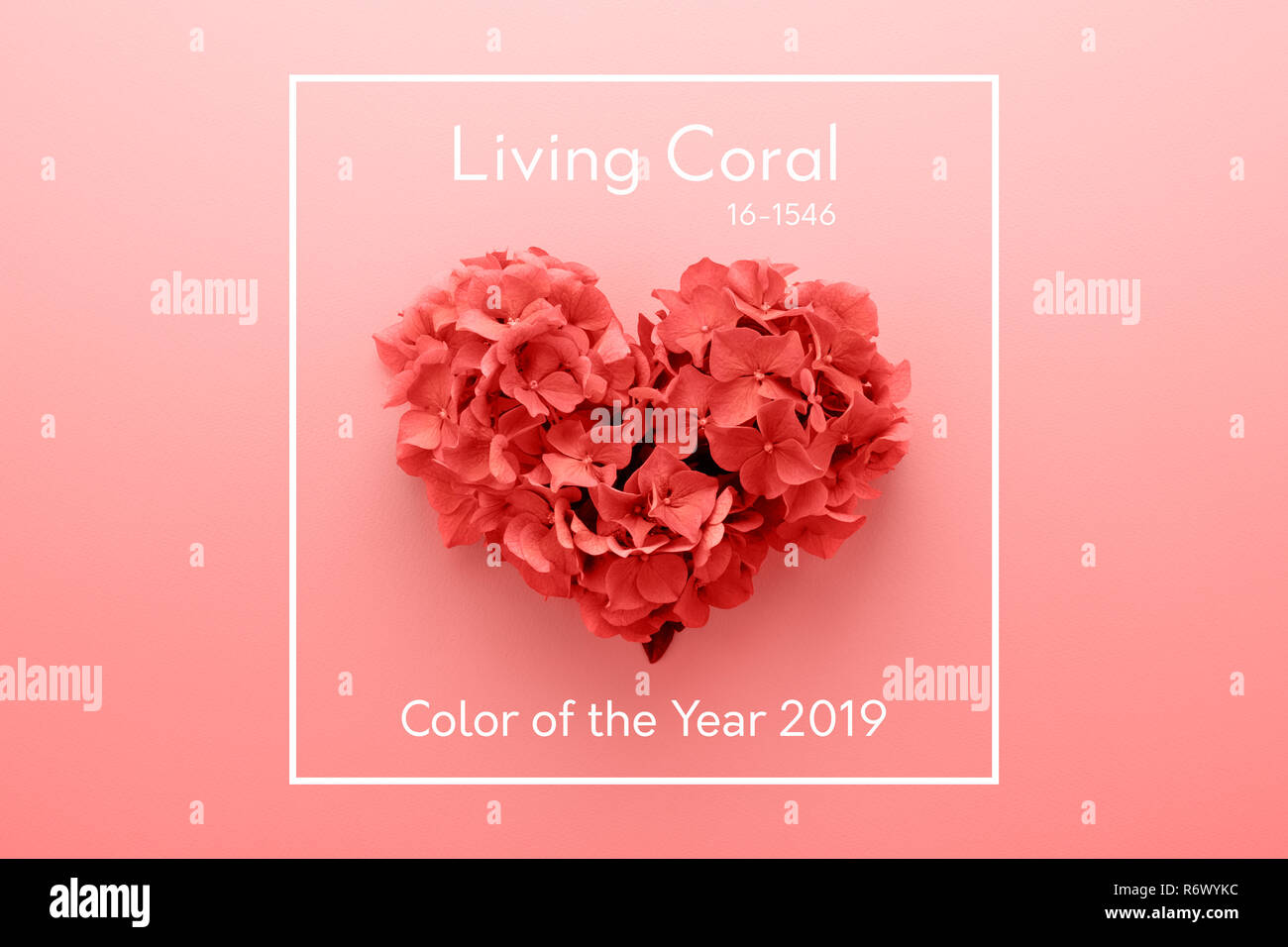 Living Coral Color Of The Year 2019 Heart Shape Made Of Flowers