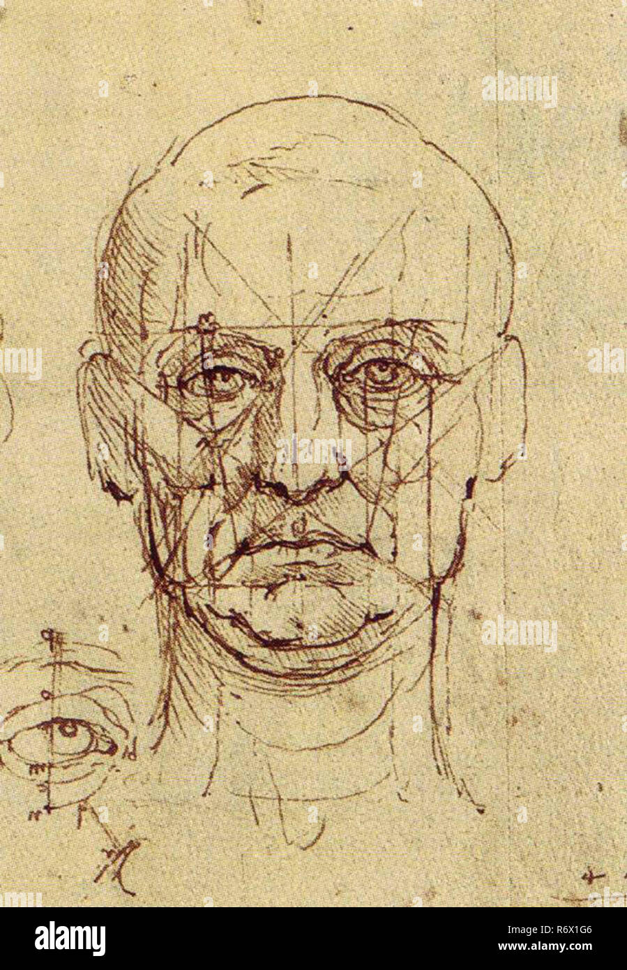 Vintage Leonardo Da Vinci artwork Stock Photo Alamy