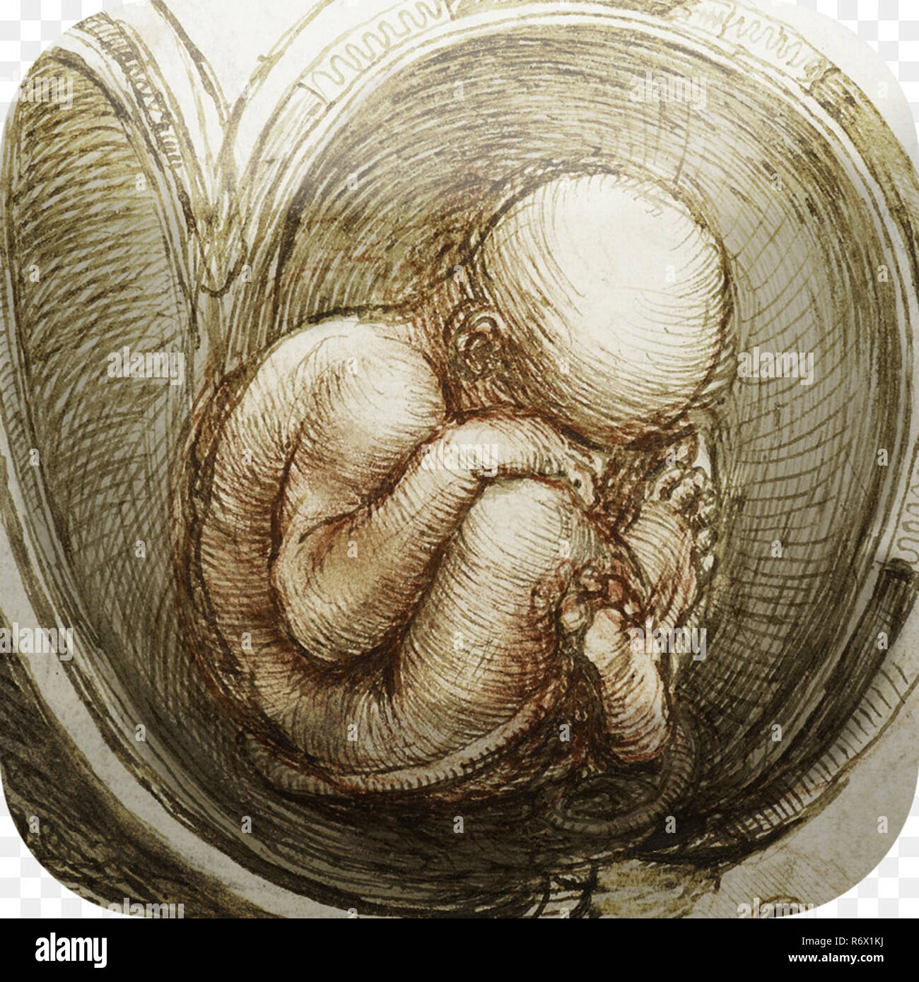 Vintage Leonardo Da Vinci artwork Stock Photo Alamy