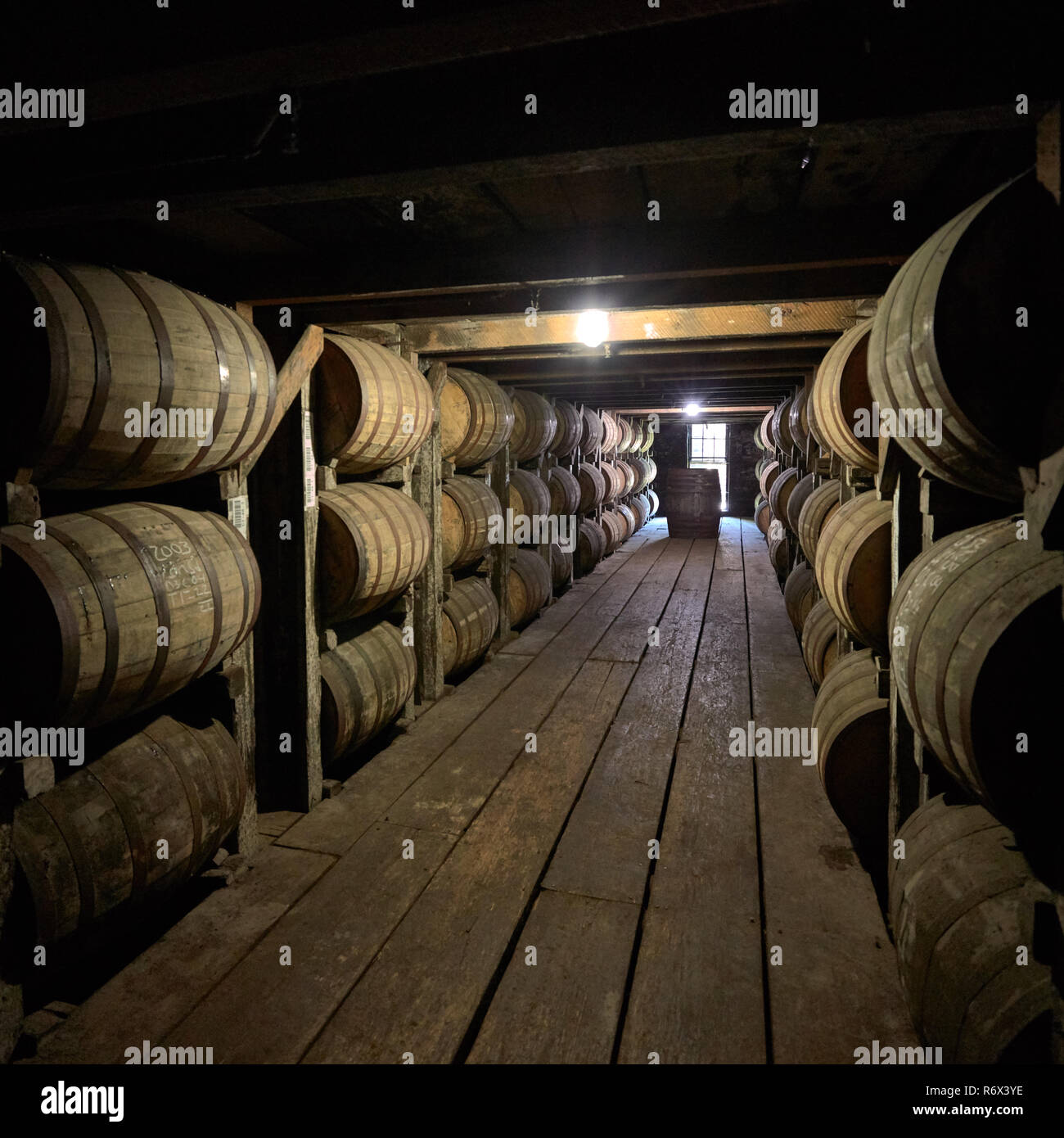 Rows of barrels aging bourbon in a warehouse at Buffalo Trace Distillery, Frankfort, Kentucky Stock Photo