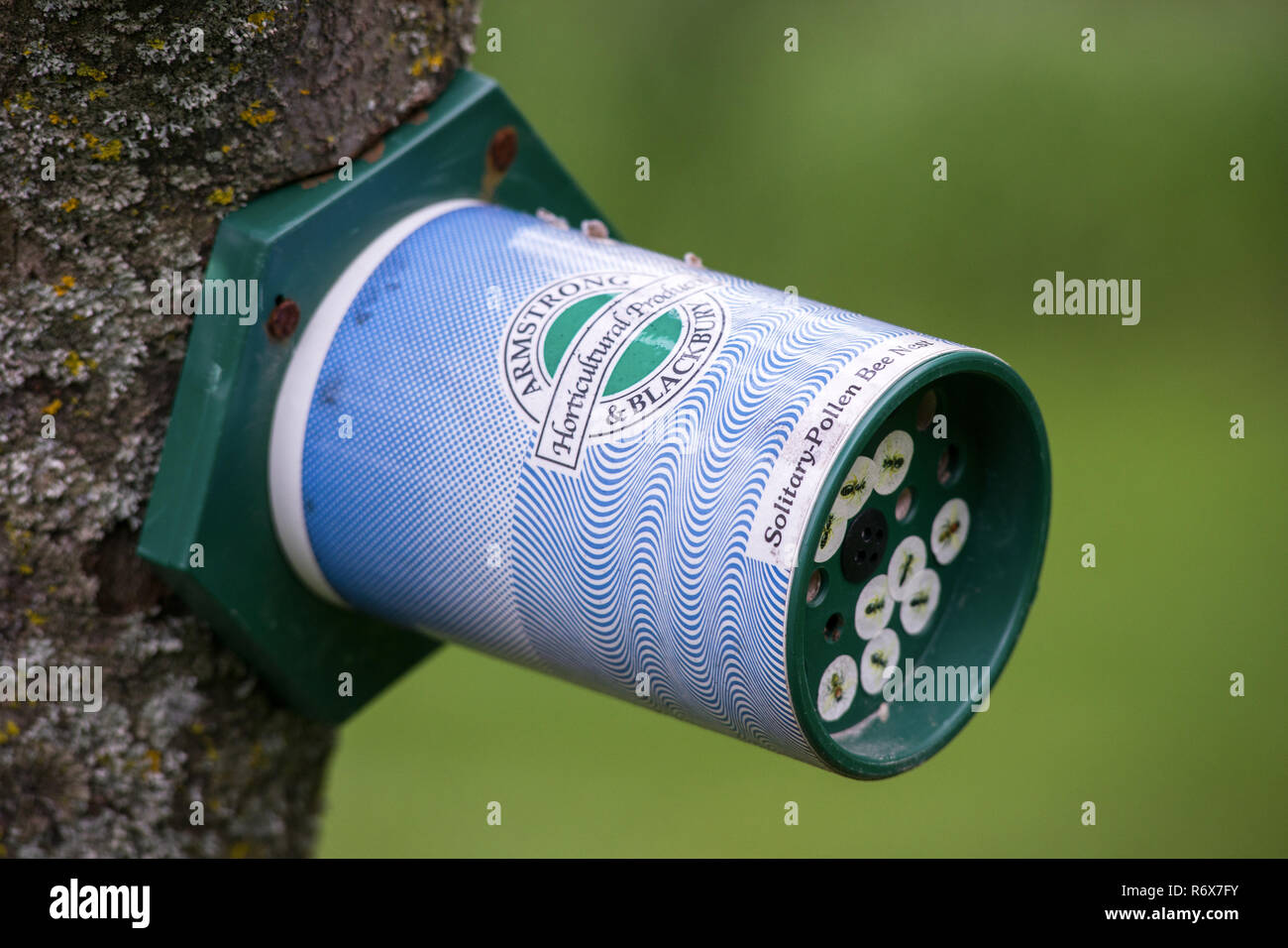 An Armstrong & Blackbury solitary artificial pollen bee nest attached to a tree, Ontario, Canada Stock Photo