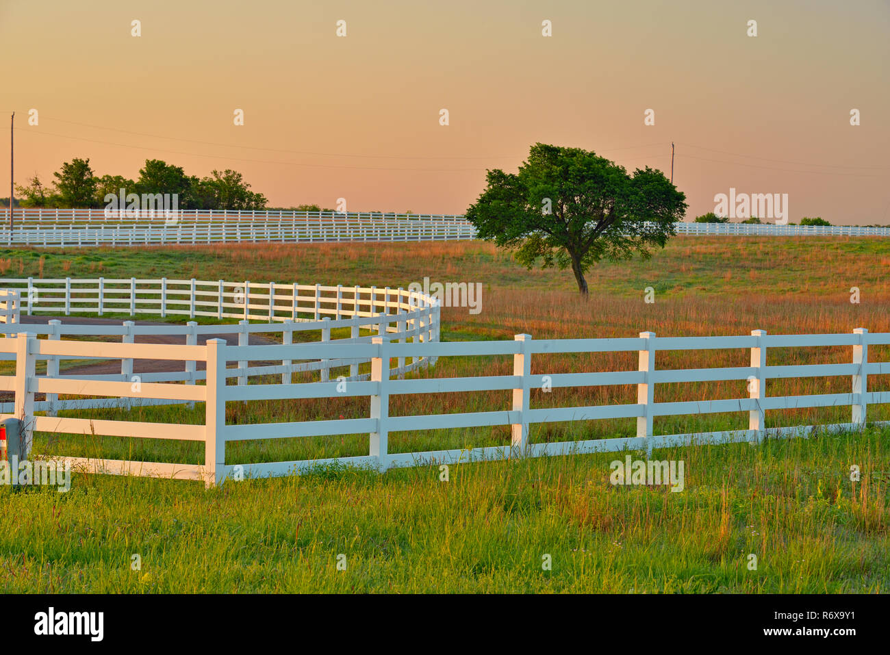 Cimarron Valley horse rehab centre, Stroud, Oklahoma, USA Stock Photo