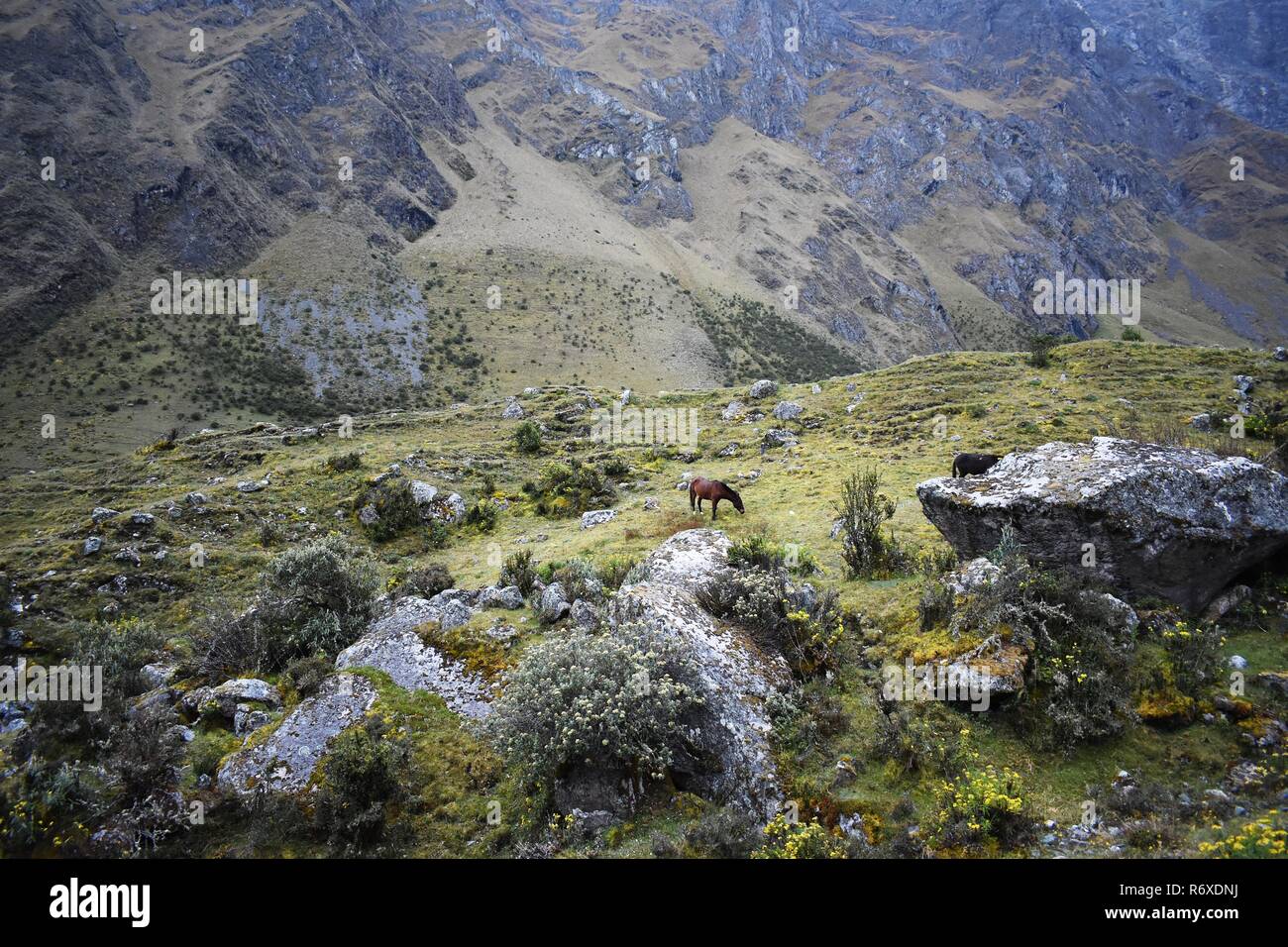 Andean mountain scenery along the Salkantay trek to Machu Picchu, Peru. Stock Photo