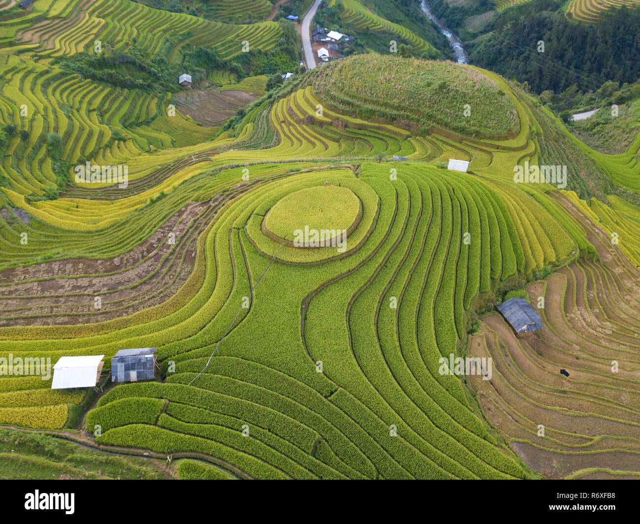 Top view of beautiful Vietnam landscapes with terraces rice field ...