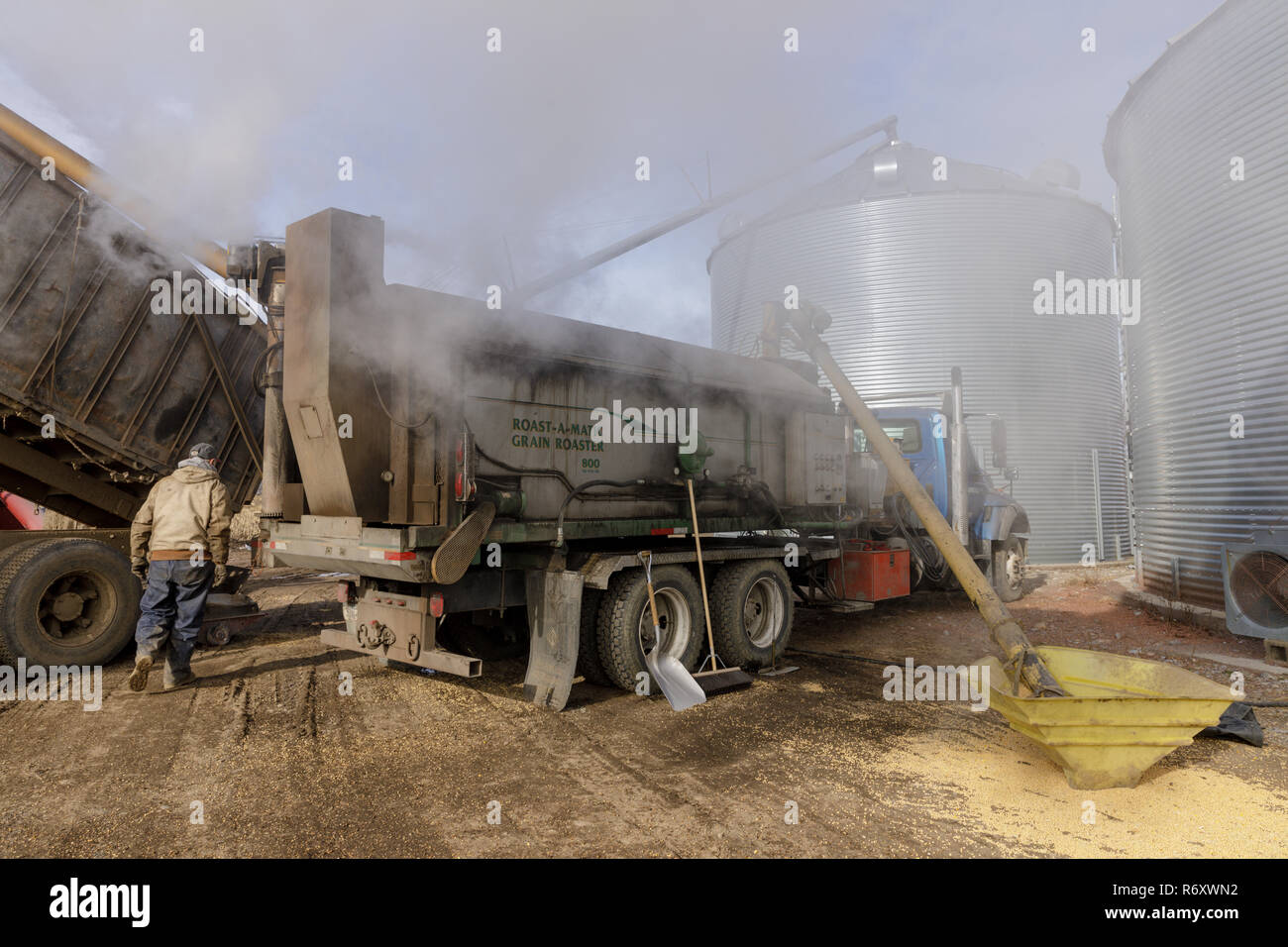 Roasting soy beans at the site of the grain bins, town of Minden, Mohawk Valley, New York, USA Stock Photo