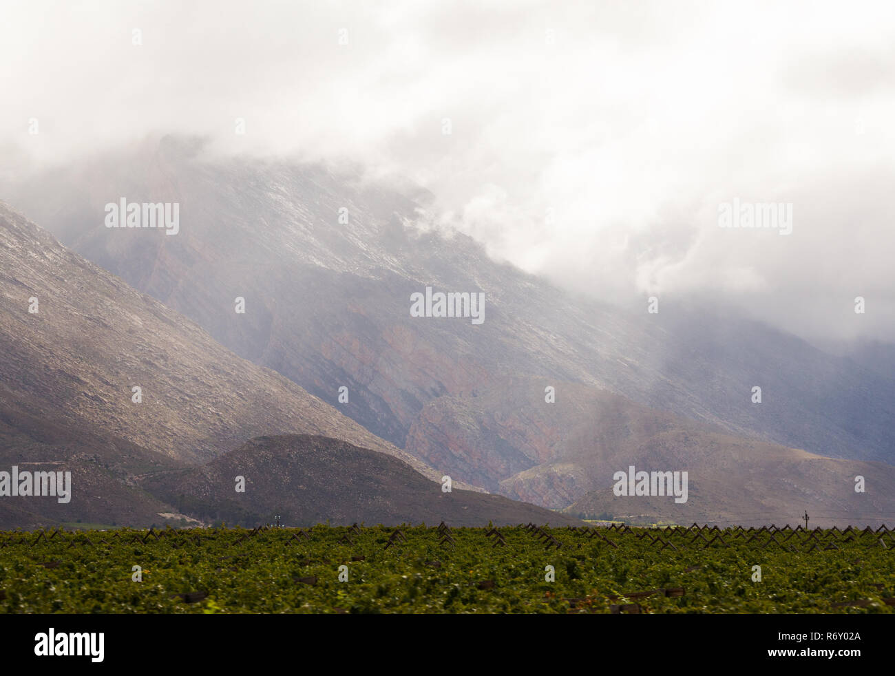 dramatic mountain landscape with light shining through rain clouds onto wet surface, below is a valley of vineyards or grape vines Hex River Valley Stock Photo