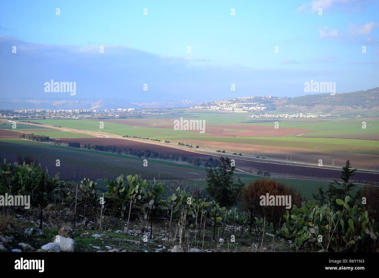 Jezreel Valley. fertile plain and inland valley south of the Lower Galilee region in Israel. Landscape Stock Photo