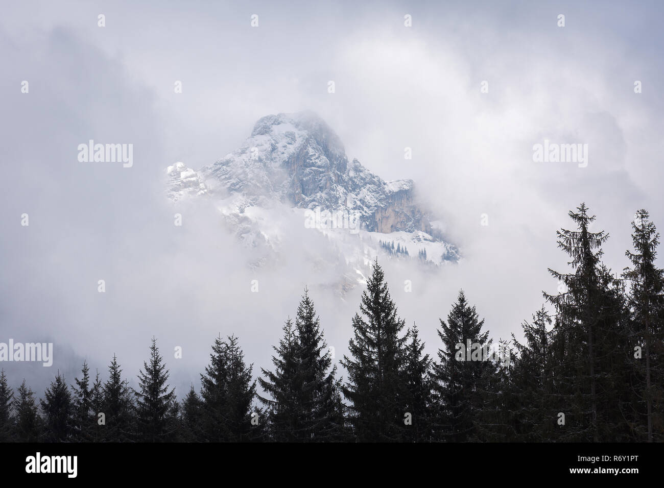 Berg zwischen Wolken im Winter hinter Tannen Stock Photo