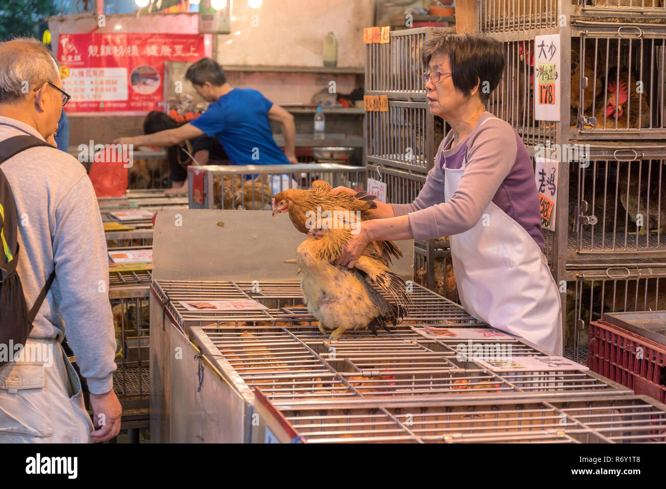 KOWLOON, HONG KONG - APRIL 22, 2017: Live Chicken Seller at Poultry Shop at Local Market in Kowloon, Hong Kong. Stock Photo