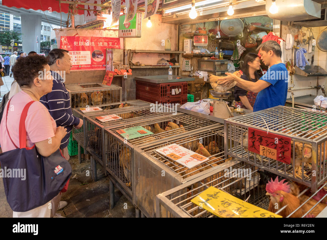 KOWLOON, HONG KONG - APRIL 22, 2017: Live Chickens at Poultry Shop at Local Market in Kowloon, Hong Kong. Stock Photo