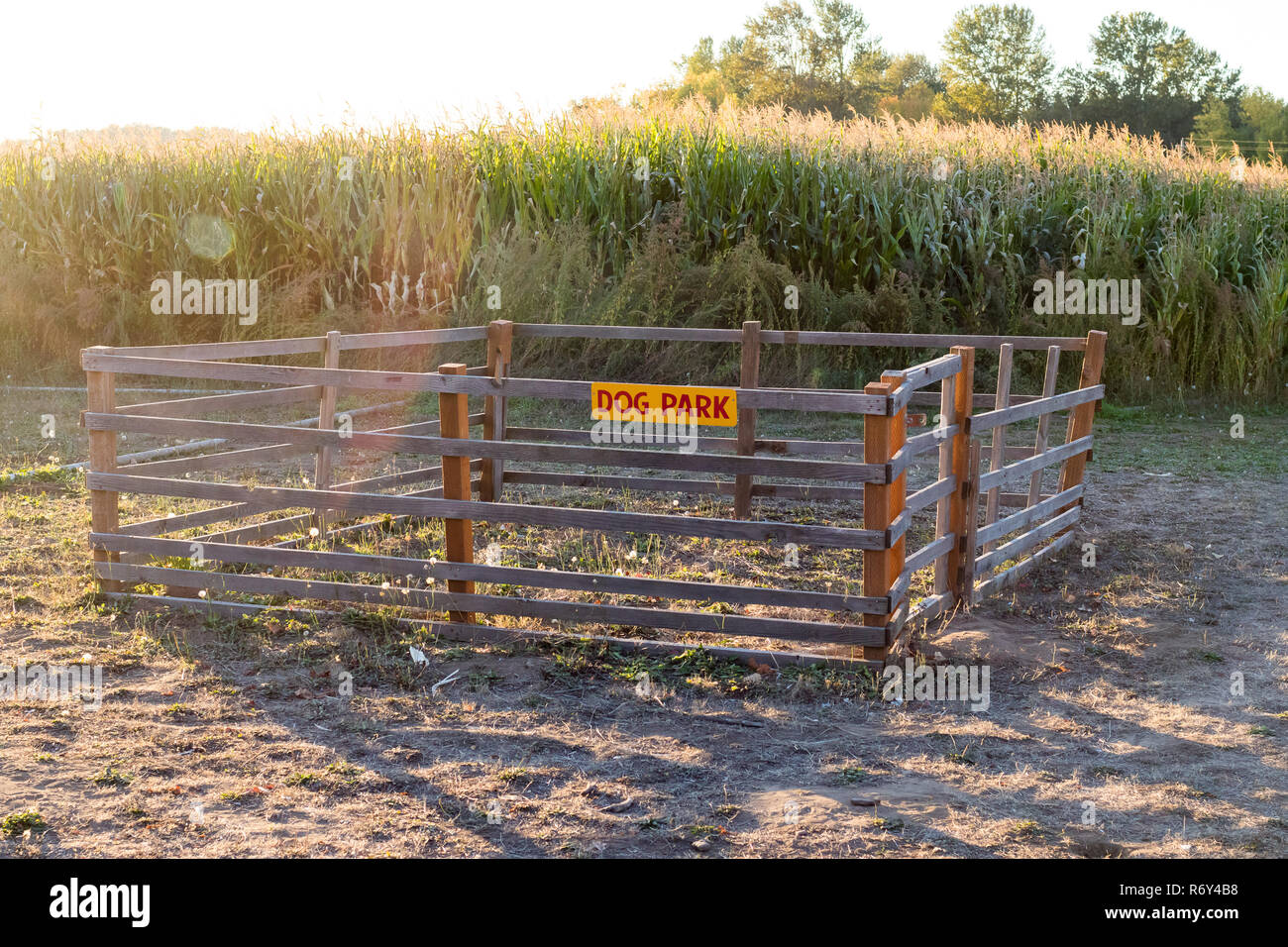 Dog Park at Detering Farm Eugene Oregon Stock Photo Alamy