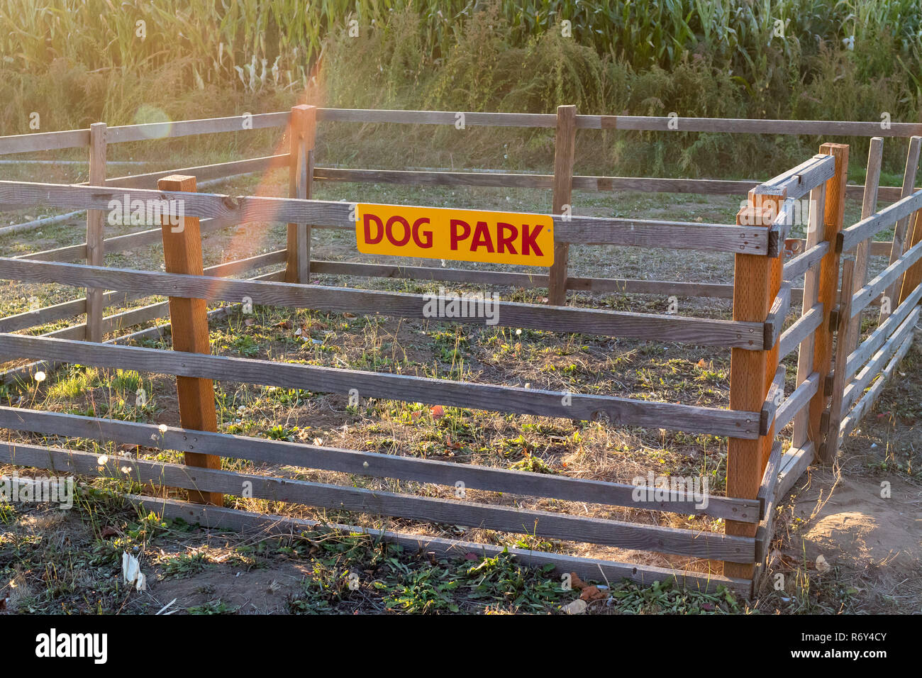 Dog Park at Detering Farm Eugene Oregon Stock Photo Alamy