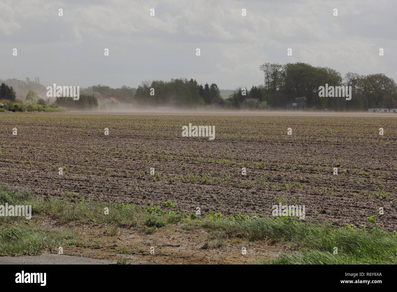 fine dust and soil erosion in agriculture in germany Stock Photo